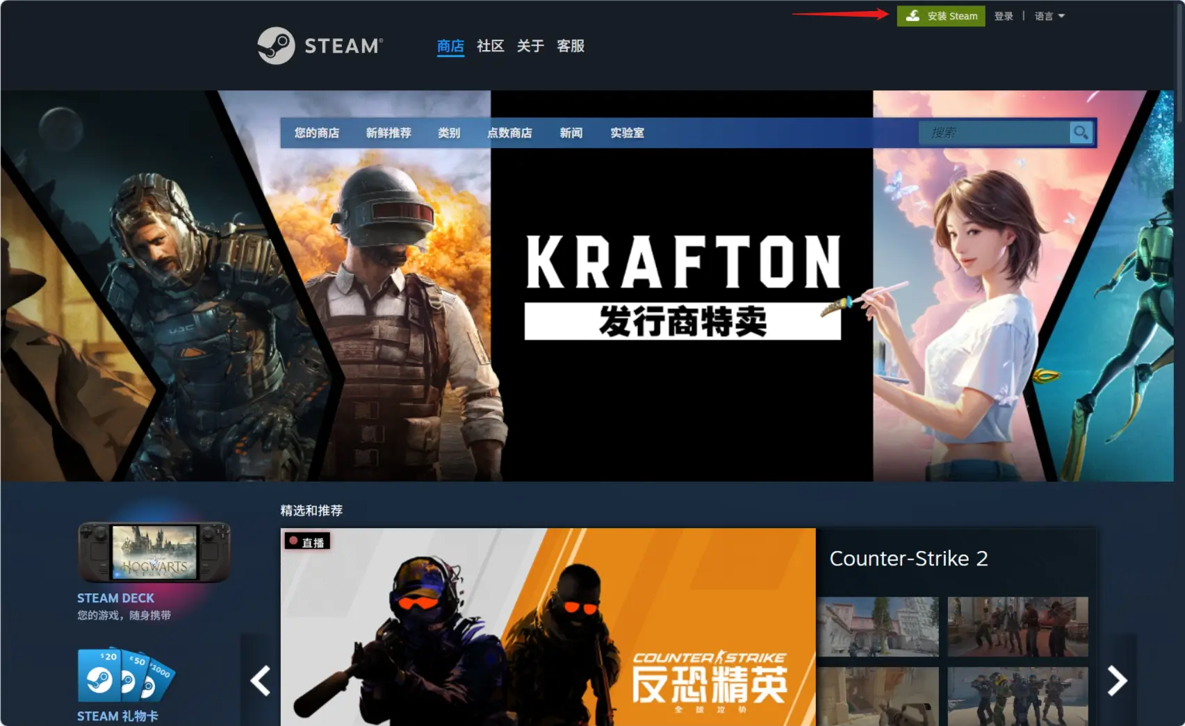 Steam 商城页面截图